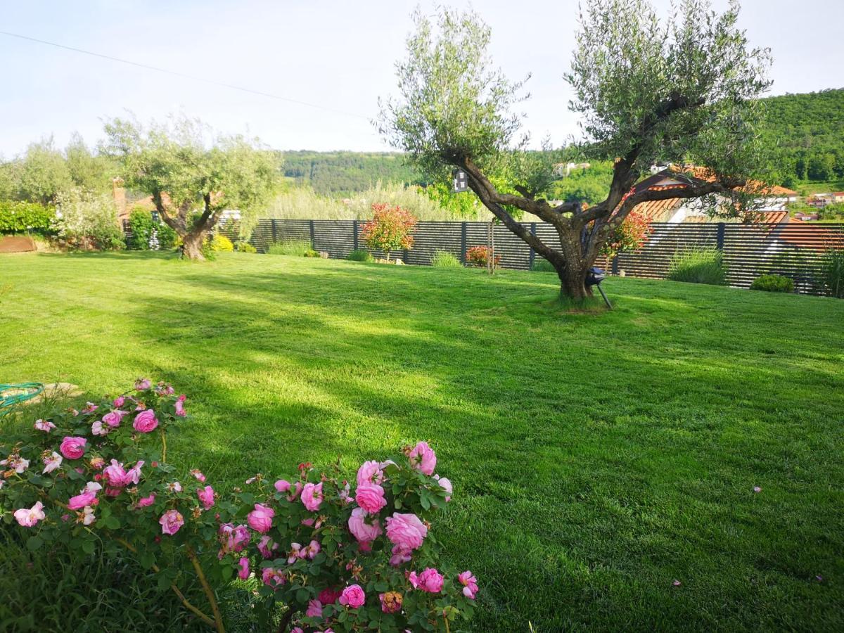 New Istrian Experience By Istrian Apartments Capodistria Esterno foto