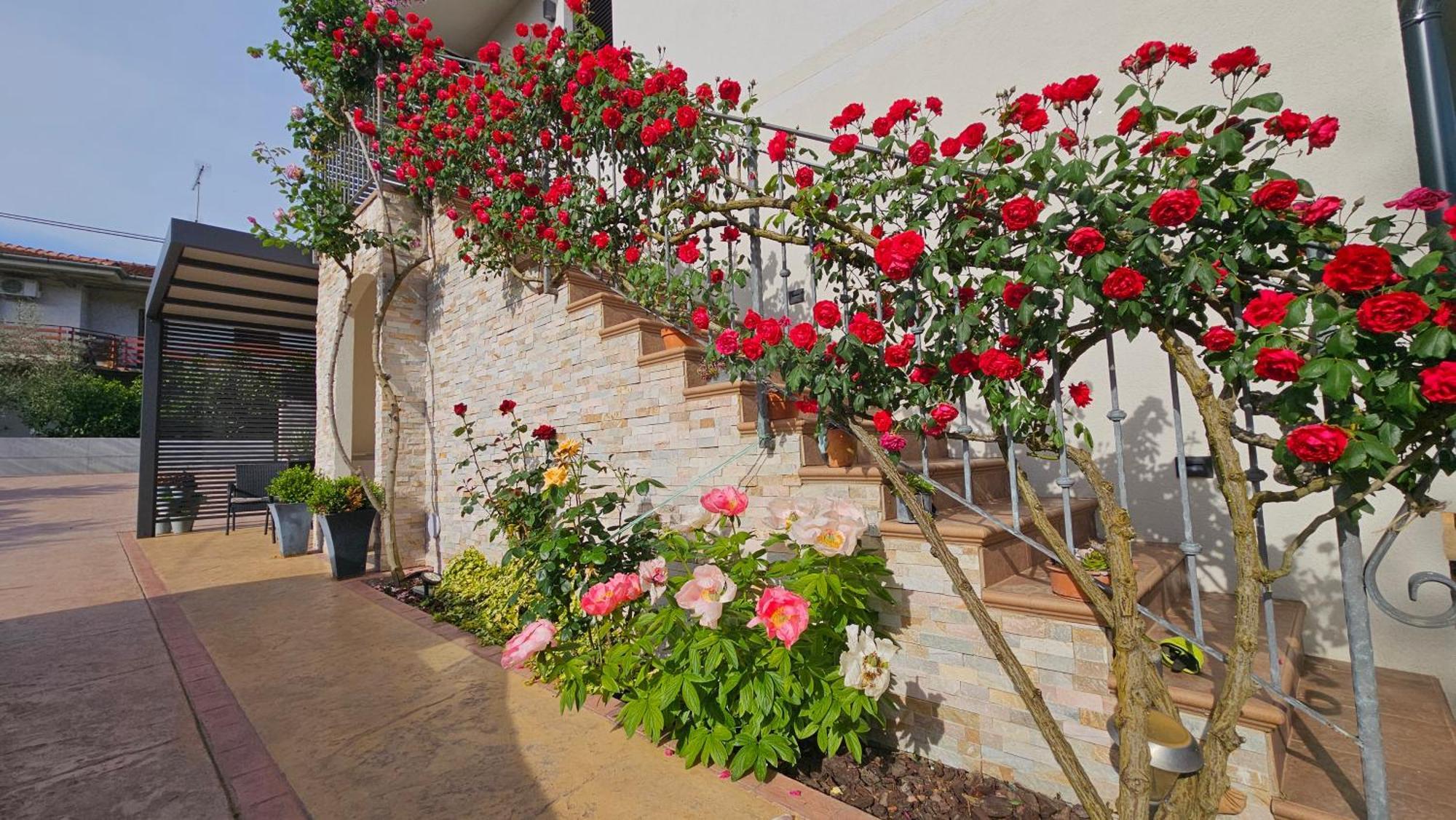 New Istrian Experience By Istrian Apartments Capodistria Esterno foto